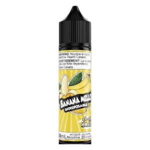 CLOUD HAVEN INDISPOSABLE SALT NIC (60ml)