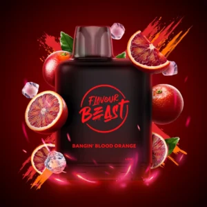 FLAVOUR BEAST LEVEL X BOOST POD (25K)
